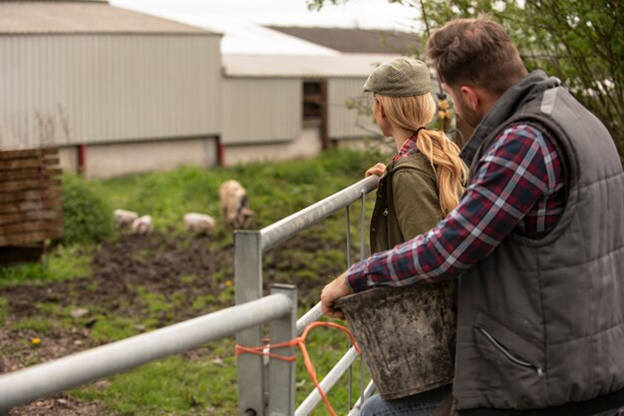 Seeds of Success: Innovative Ways to Monetize Your Small Farm