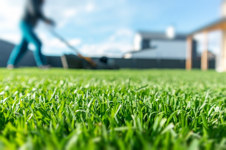 What Fertilizer Do I Need?