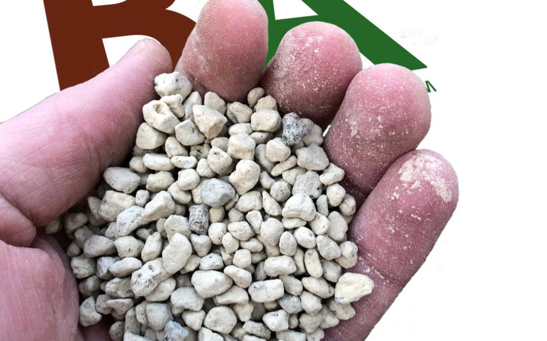Pumice: The Secret Ingredient for Thriving Plants