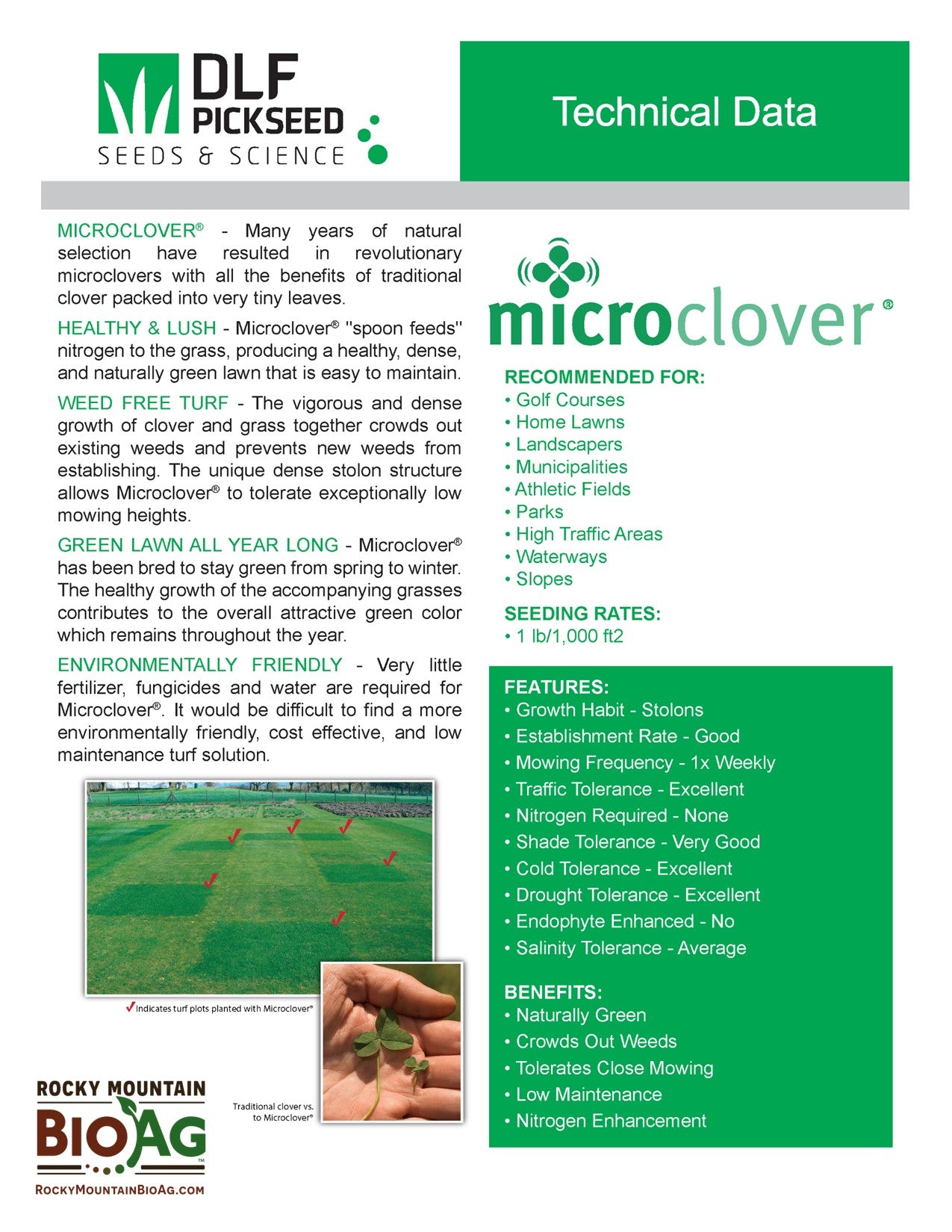 DLF Micro Clover Grass Seeds Technical Data