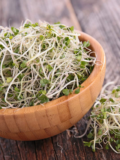 Sprouted Organic Broccoli Sprouting Seeds in Bowl