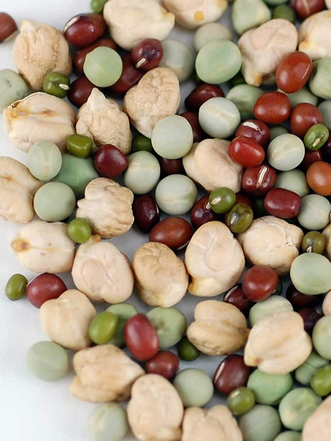 Closeup of Handy Pantry Organic Protein Powerhouse Mix Sprouting Seeds