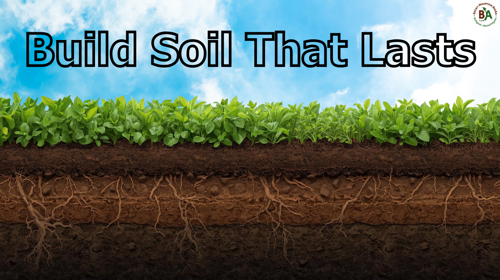 Stop Buying One-Year Fixes. Build Soil That Lasts – Rocky Mountain BioAg