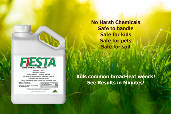 FiESTA  | Safe Selective Herbicide For Lawns | RMBA