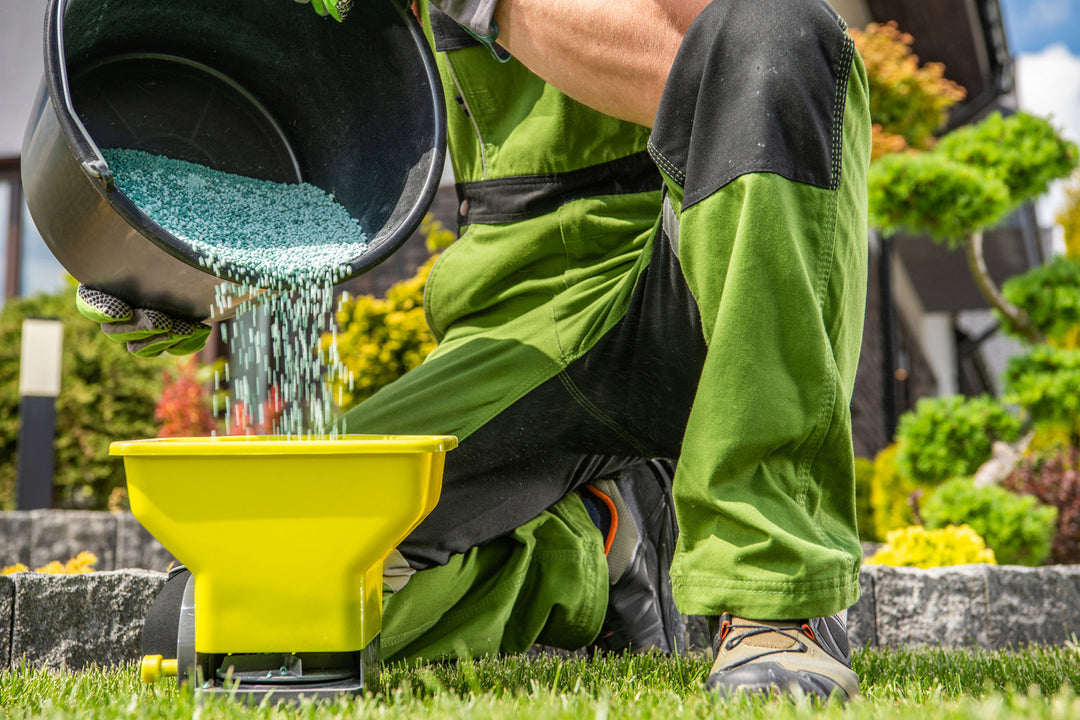 The Benefits of Nitrogen Fertilizer