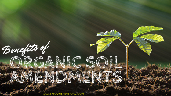 Benefits of Organic Soil Amendments
