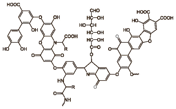 Humic Substances | Important Molecuoles for Soil Health | RMBA