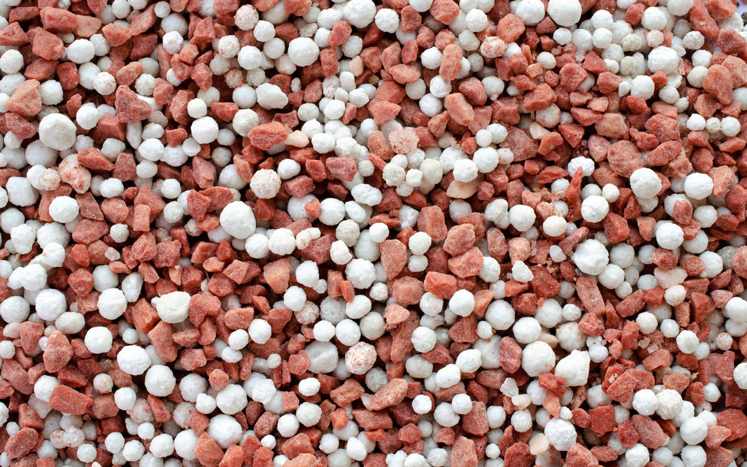 Organic Fertilizer: The Benefits of Potassium