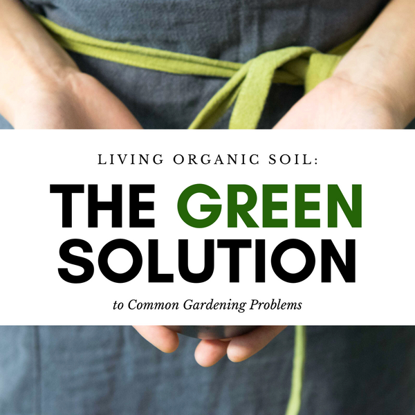Living Organic Soil: The Green Solution to Common Gardening Problems