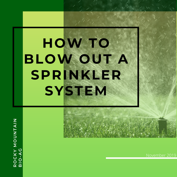How To Blow Out A Sprinkler System | RMBA