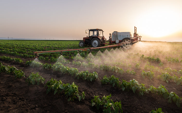 Why Organic Lawn Fertilizer?