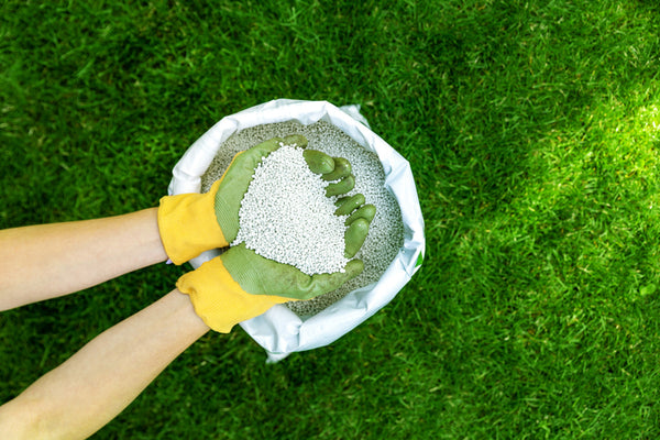 How to Choose a Lawn Fertilizer