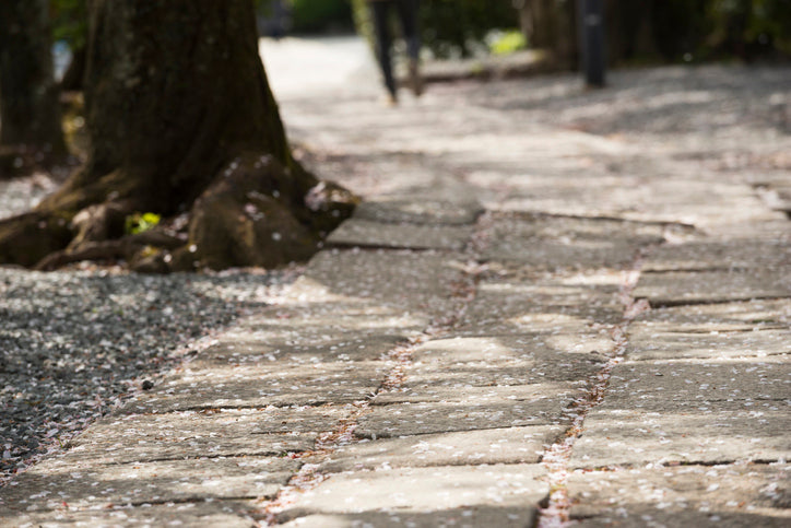 LEED Building Compliant Ice Melts - Why it Matters to Your Business or School