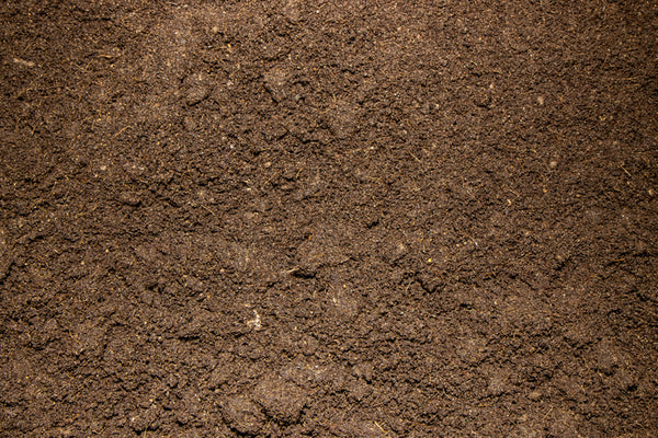 The Importance of Soil Nutrition