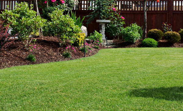 Everything You Need to Know About Organic Fertilizers
