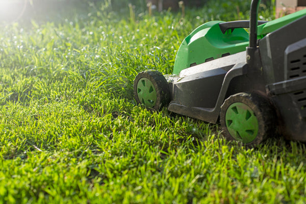 Creating a Landscape Lawn Care Plan