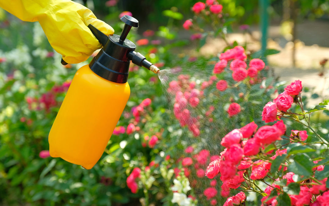 Insect Control in Your Growing Spaces