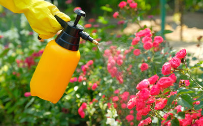 Insect Control in Your Growing Spaces