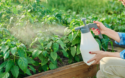 Why Organic Weed Killer is the Right Choice for Your Garden
