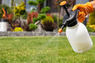 How to Level Up Your Lawn and Garden with Non-Toxic Herbicides