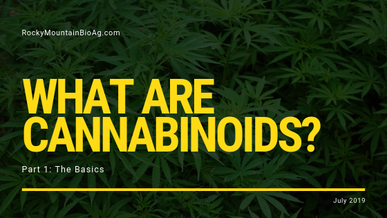 What Are Cannabinoids? Part 1: The Basics