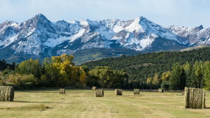 Dallas Divide Near Rocky Mountain BioAg