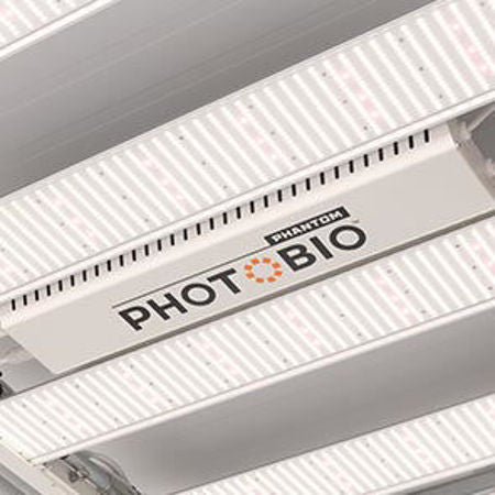 LED Grow Lights