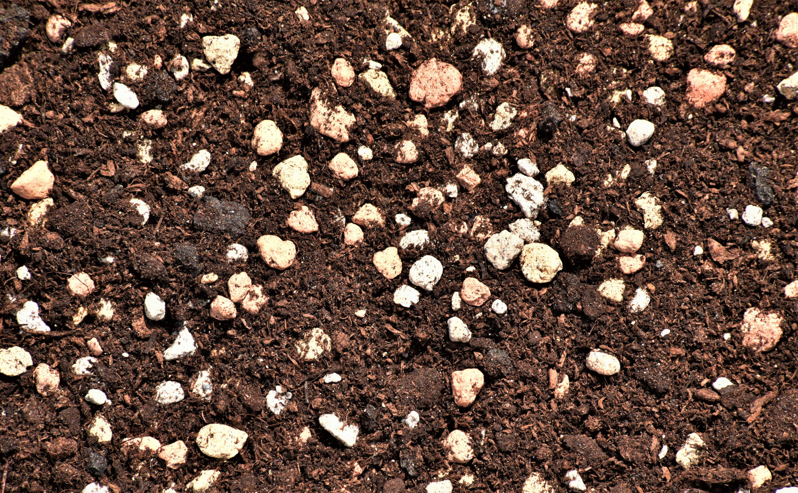 Detail of Soil with Aeration and Drainage Amendments