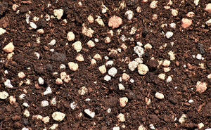 Detail of Soil with Aeration and Drainage Amendments