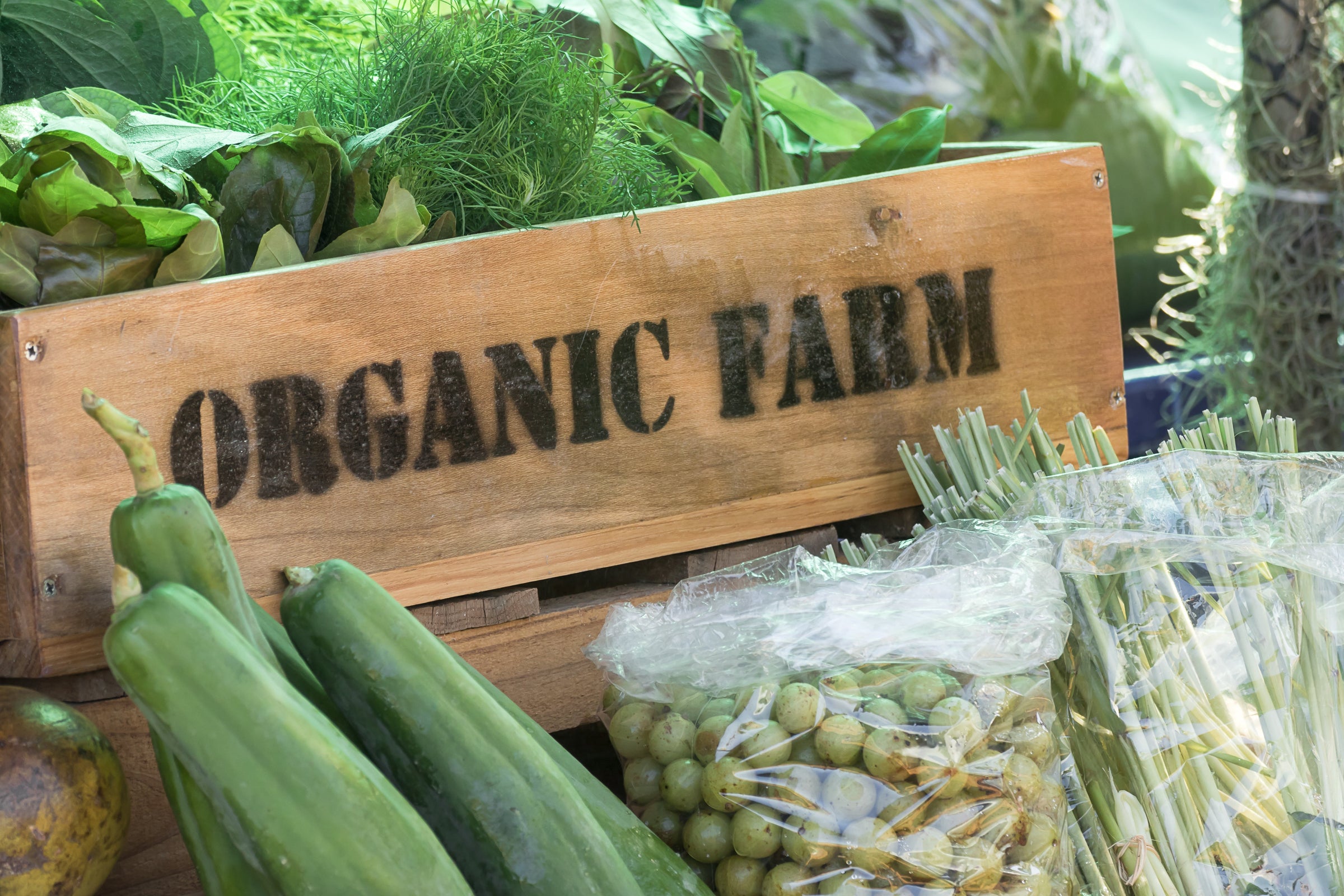 Organic Farm and Vegetables | RMBA