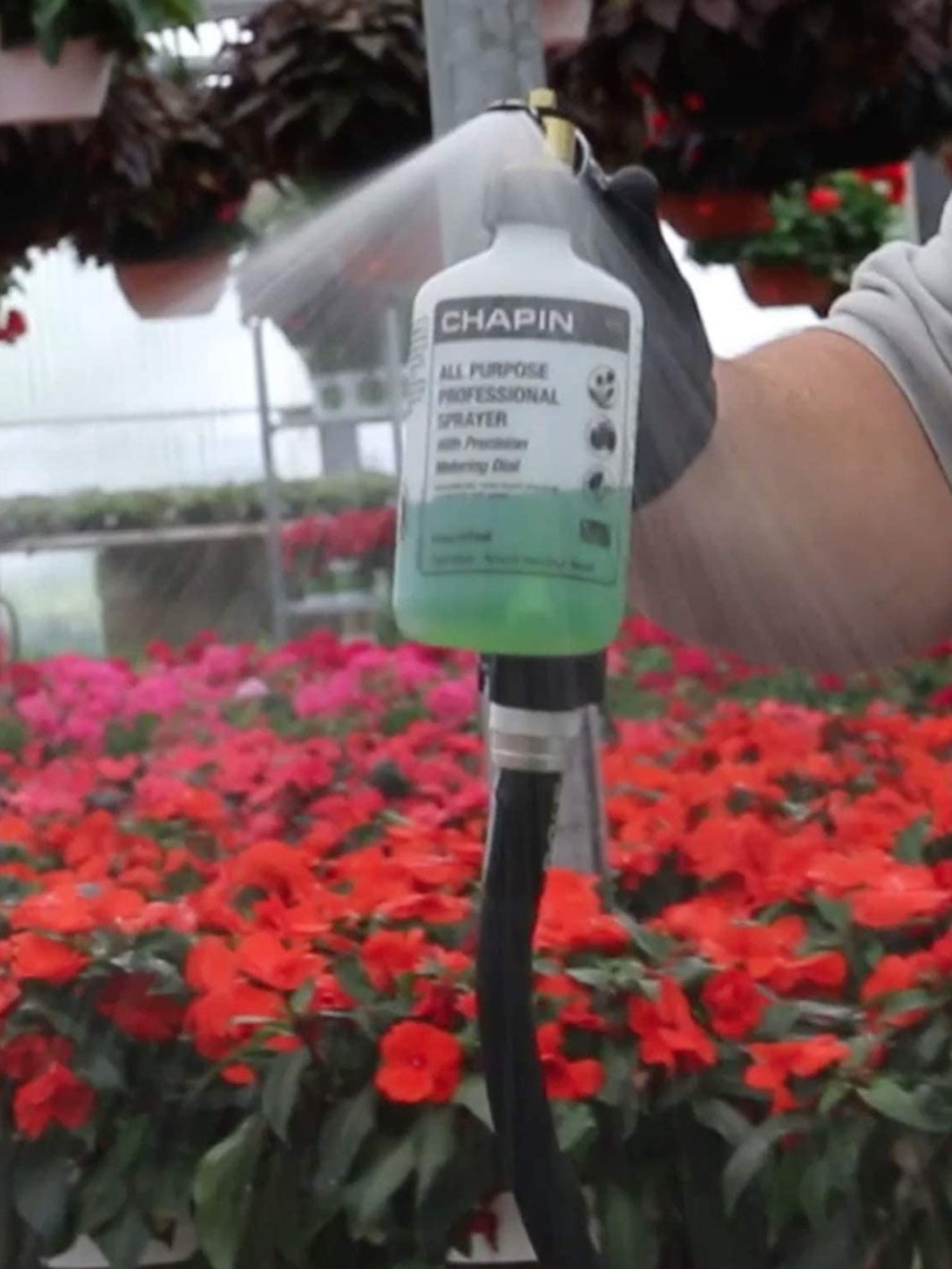 hose end garden sprayer Chapin Mfg Chapin G362 All-Purpose Professional Hose End Sprayer With Metering Dial, 16 oz