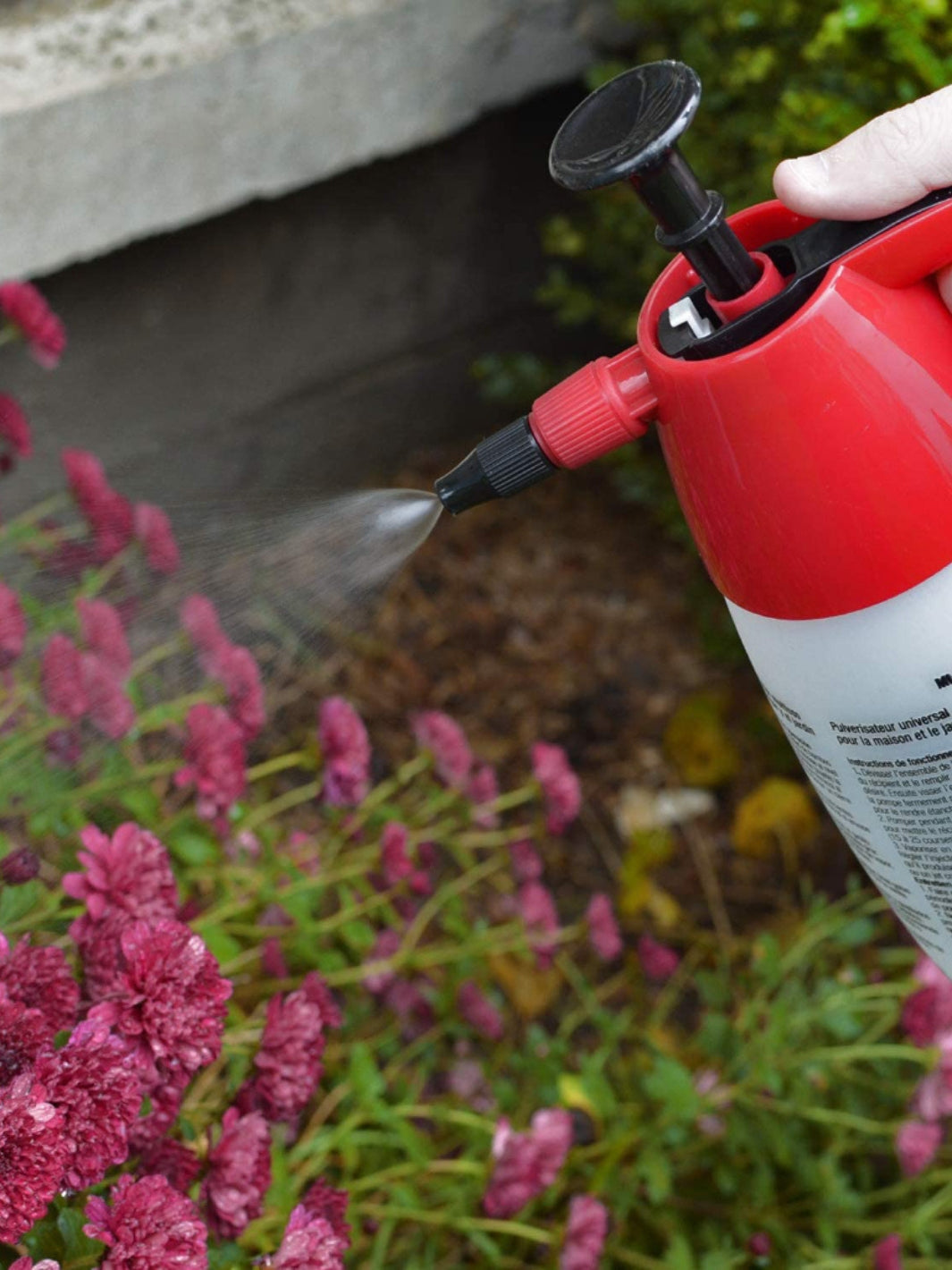 48oz Chapin Multi-Purpose Handheld Compression Sprayer in Use