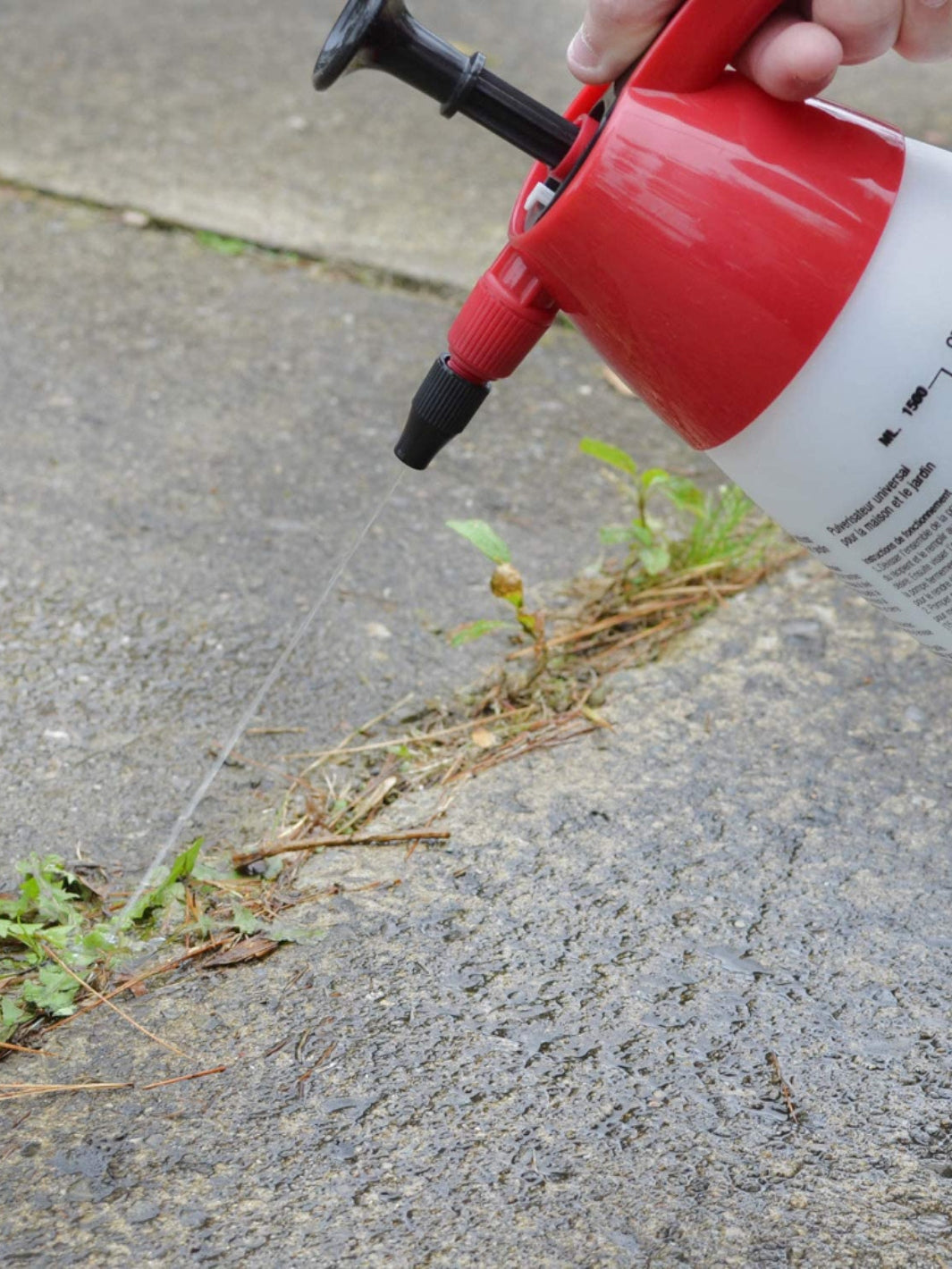 Chapin Multi-Purpose Handheld Compression Sprayer Used to Spray Weeds