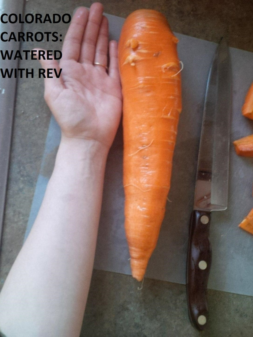 REV Crop Pro Colorado Carrot