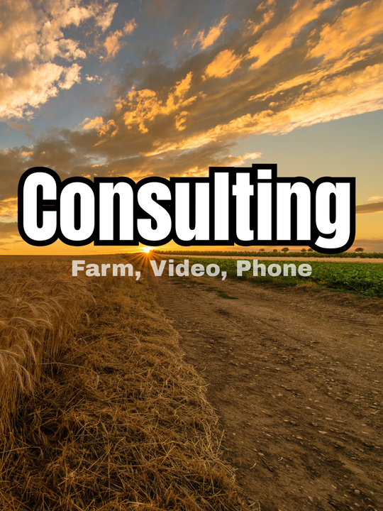 Consulting_Farm or Phone and Video