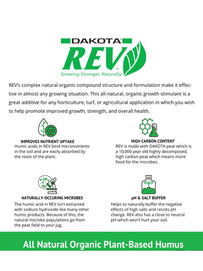 Dakota REV All Natural Organic Plant-Based Humus