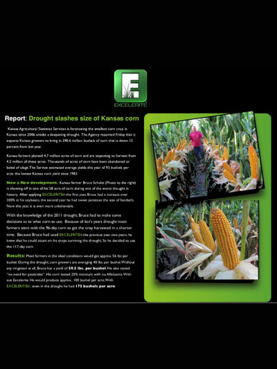 Excelerite Montmorillinite Clay Results on Kansas Corn Crop