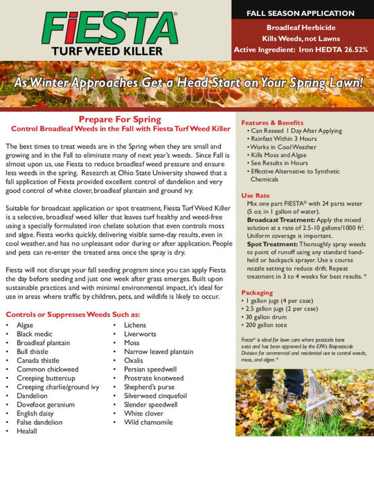 Fiesta Sales Sheet 2