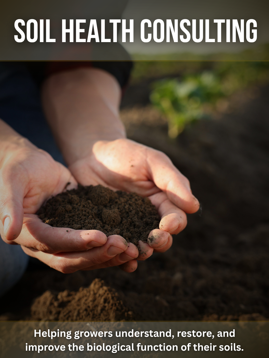 Soil Health Consulting for growers focused on improving soil biology, nutrient efficiency, and long-term soil health through personalized guidance.