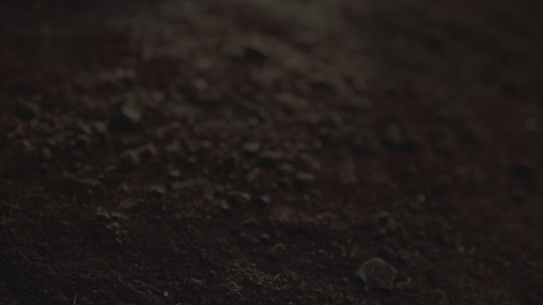 Introduction video for the Biological...Beyond Organic® Fundamentals online course explaining how soil biology supports healthier soils, resilient crops, and better farming decisions.
