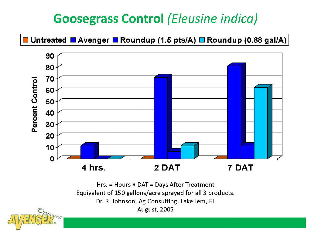 Avenger Organic Weed Control Killer Ready To Use (RTU) vs Roundup Goosegrass Control (Eleusine indica) By Dr. R. Johnson, Ag Consulting, FL - Rocky Mountain Bio-Ag