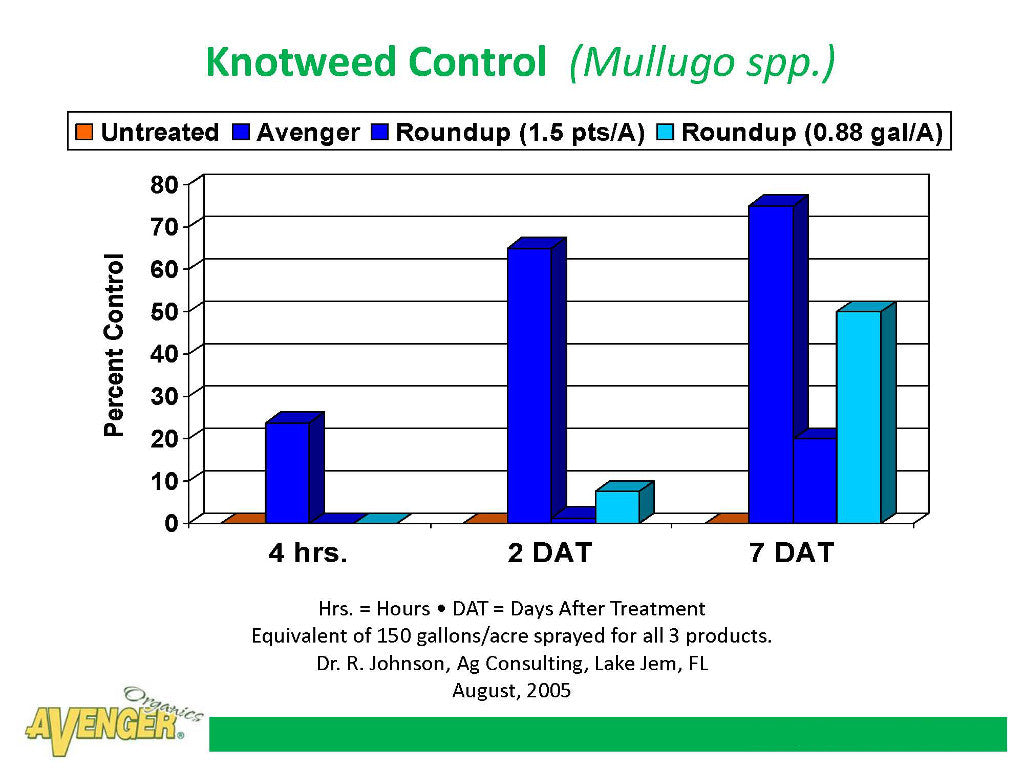 Avenger Organic Weed Control Killer Ready To Use (RTU) vs Roundup Knotweed Control (Mullugo spp.) By Dr. R. Johnson, Ag Consulting, FL - Rocky Mountain Bio-Ag