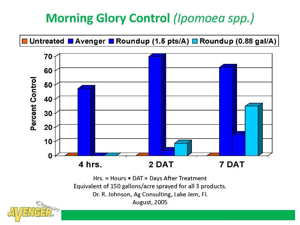Avenger Organic Weed Control Killer Ready To Use (RTU) vs Roundup Morning Glory Control (Ipomoea spp.) By Dr. R. Johnson, Ag Consulting, FL - Rocky Mountain Bio-Ag