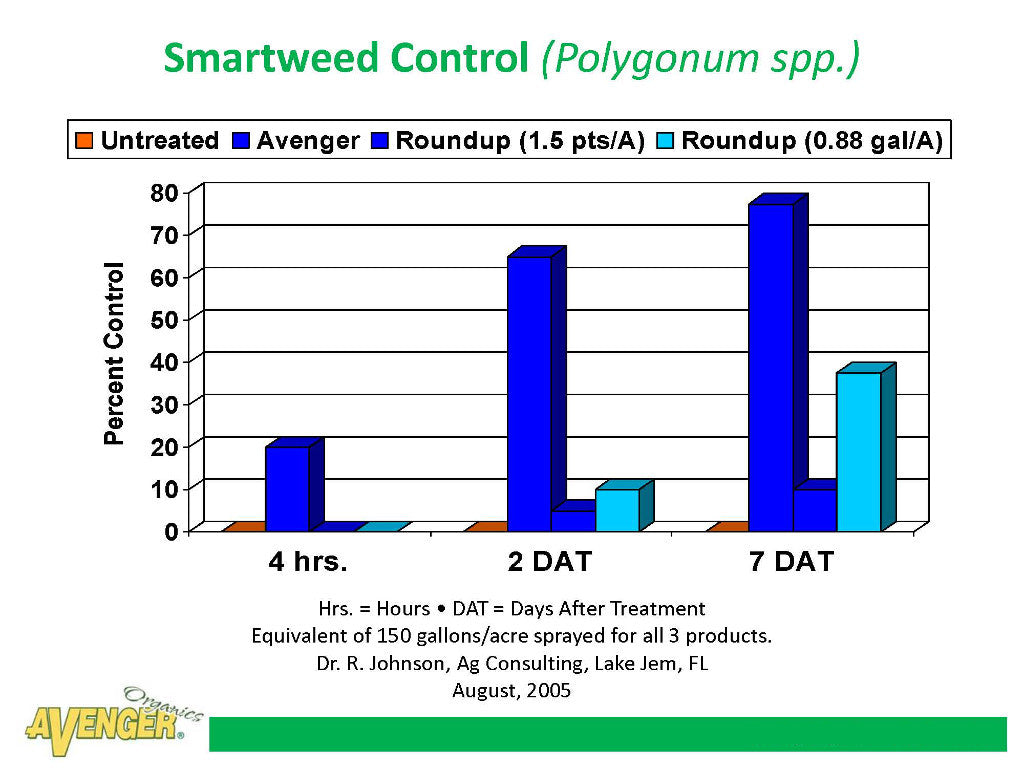 Avenger Organic Weed Control Killer Ready To Use (RTU) vs Roundup Smartweed Control (Polygonum spp.) By Dr. R. Johnson, Ag Consulting, FL - Rocky Mountain Bio-Ag