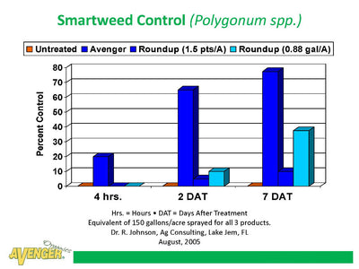 Avenger Organic Weed Control Killer Ready To Use (RTU) vs Roundup Smartweed Control (Polygonum spp.) By Dr. R. Johnson, Ag Consulting, FL - Rocky Mountain Bio-Ag