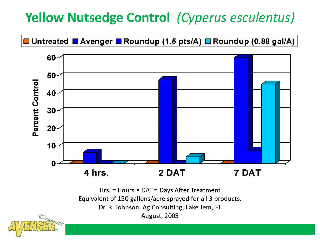 Avenger Organic Weed Control Killer Ready To Use (RTU) vs Roundup Yellow Nutsedge Control (Cyperus esculentus) By Dr. R. Johnson, Ag Consulting, FL - Rocky Mountain Bio-Ag