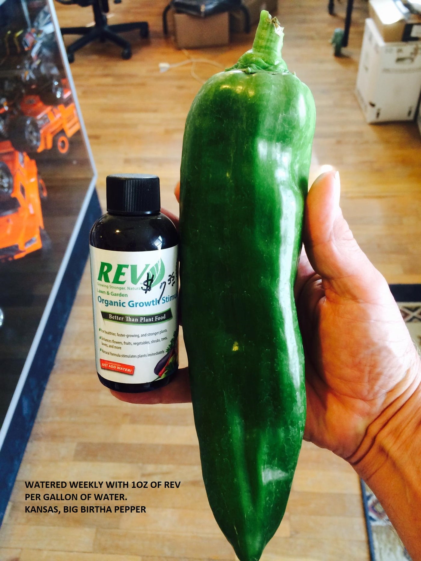 Big Bertha Pepper with Dakota REV Organic Growth Stimulant