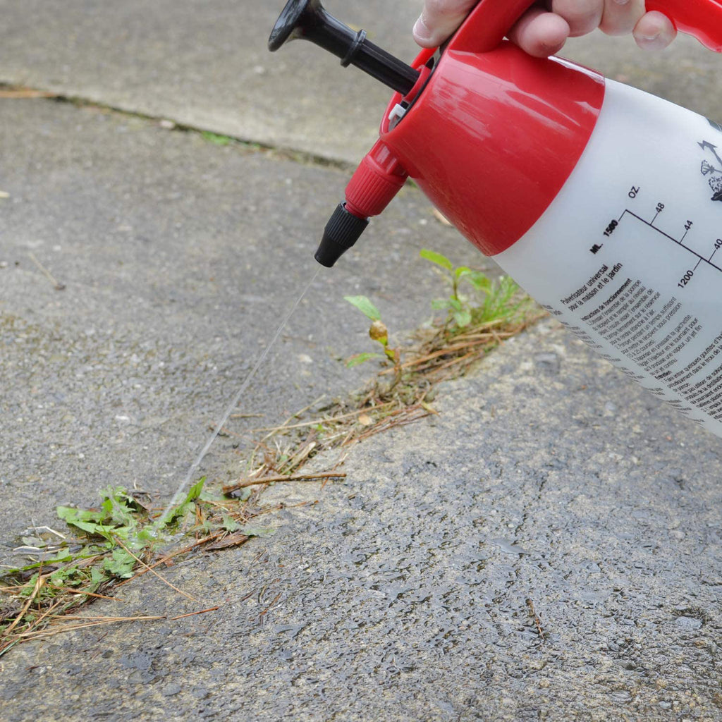 Chapin Multi-Purpose Handheld Compression Sprayer Used to Spray Weeds