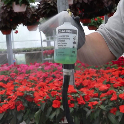 16oz Chapin g362 all purpose professional sprayer in use