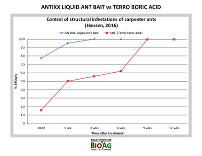 Antixx Liquid Ant Bait vs Terro Boric Acid for Ant Killer